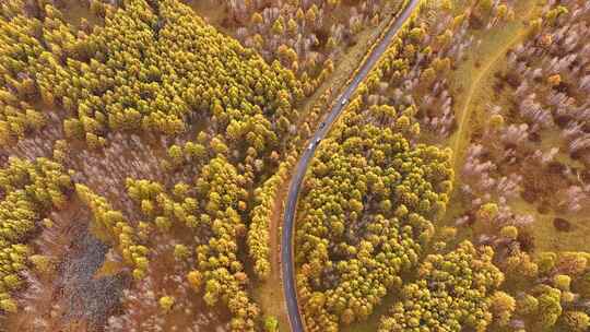 快进X10 航拍大兴安岭金色秋天