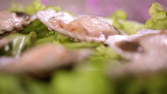 花蛤蛤蜊小海鲜花甲