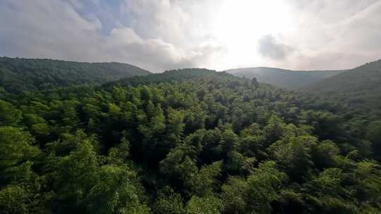 南京溧水无想山竹海穿越机PFV