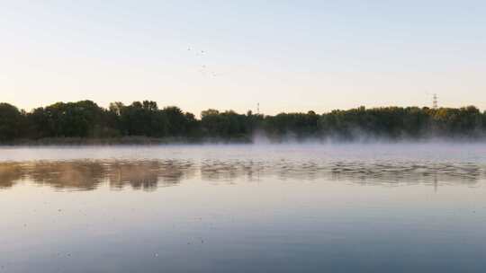 清晨平静的湖面视频素材模板下载