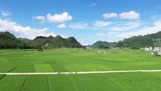 航拍夏日稻田乡村振兴 美丽乡村 蓝天白云