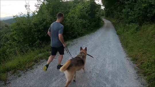 带狗慢跑的男人