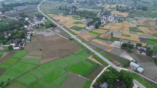 四川广汉平原土地乡村