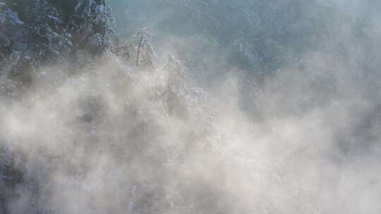 冬天雪景树林雾凇