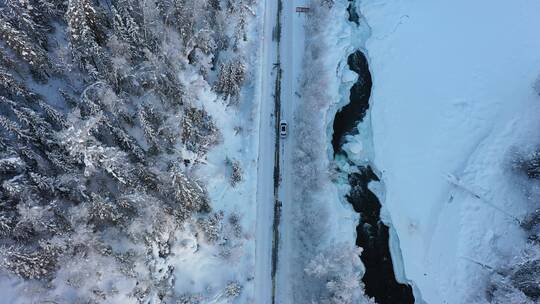 冬天喀纳斯雪中林间道路驾车