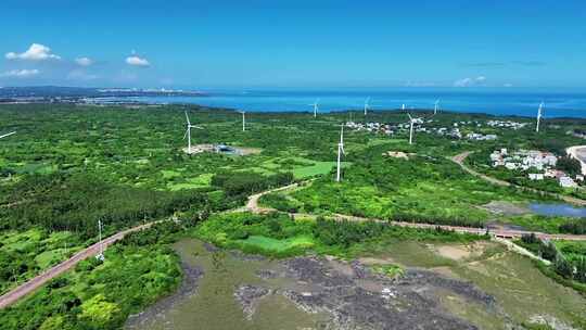 山间小溪水河流水阳光树林视频