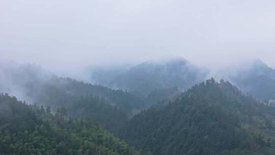 云雾缭绕的山林风景