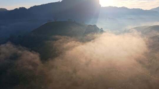 武夷山云海日出