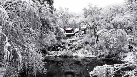 长沙雪景岳麓山爱晚亭下雪冬天雪景