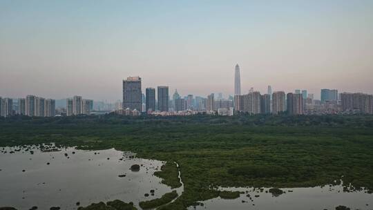 深圳福田湿地公园自然风光航拍视频