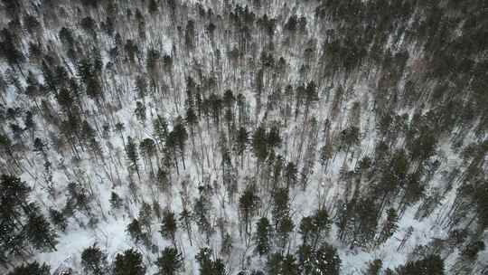 吉林长白山雪岭森林冬季自然风光航拍