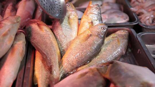 海鲜市场购买黄花鱼