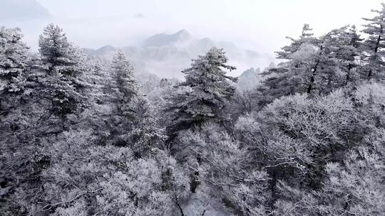 南太行伏牛山雪景雾凇云海自然风光