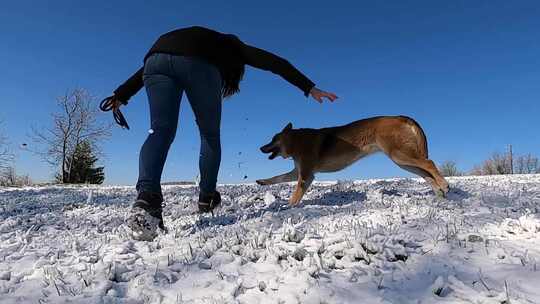 一个女人在雪地里和她的狗玩耍