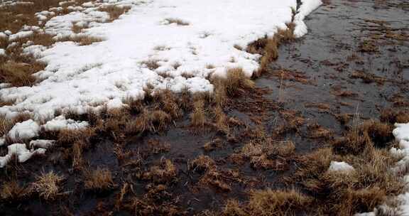 覆盖着白雪的泥潭沼泽地