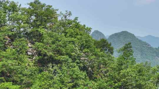 贵州平塘大桥河峡谷