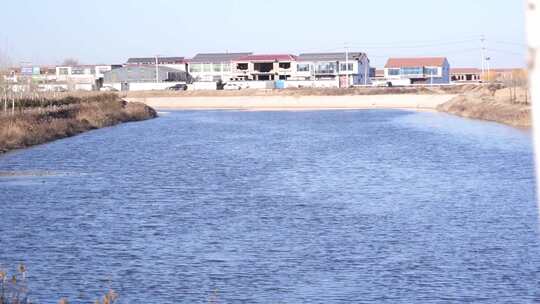 河流 河 小河 河道 水 风景