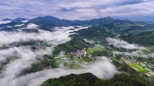 绿色 村庄 云海 生态