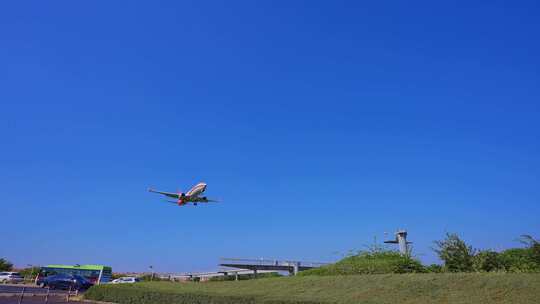 上海航空  飞机 航班 飞机降落 厦门