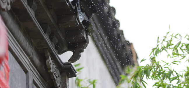 屋檐 细雨 竹叶