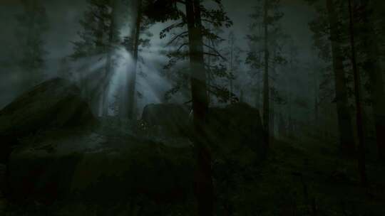 森林中的恐怖场景，黑夜，神秘的树木，月光