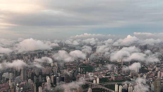 上海浦西清晨云雾航拍城市风光视频素材模板下载