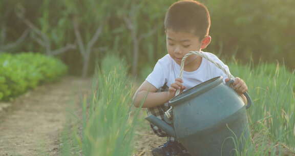 夏日小朋友农田玩耍浇水