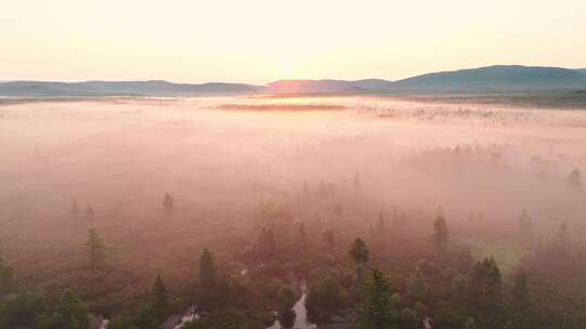 航拍薄雾森林自然风景