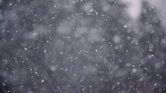 雪花飘落时的景色视频素材模板下载