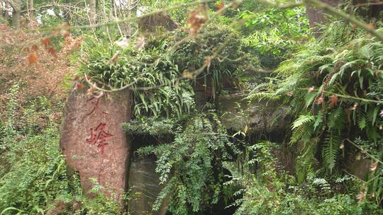 实拍眉山三苏祠空镜素材