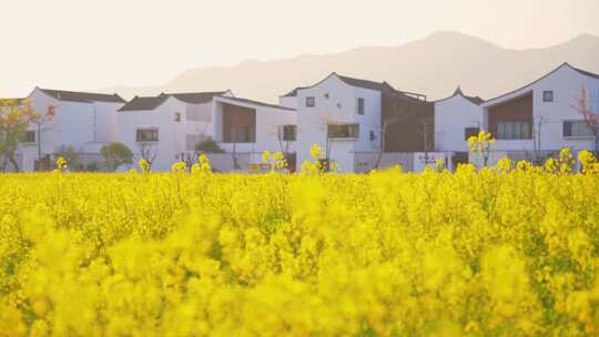 杭州富阳东梓关村春天风景