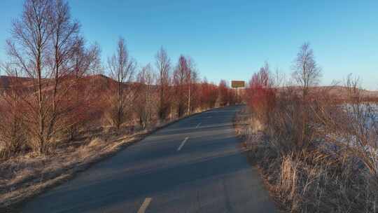 大兴安岭春季风景扎敦河湿地红柳自然风光