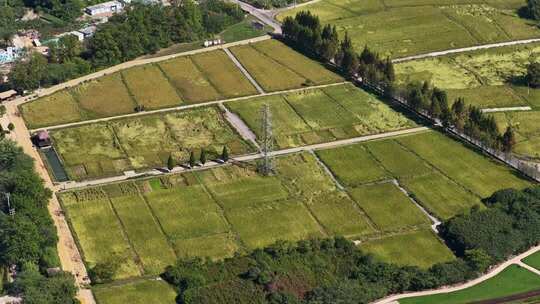 浙江金华浦江上山文化遗址公园