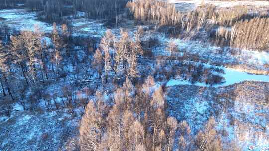 鸟瞰冰雪覆盖的冻土森林湿地