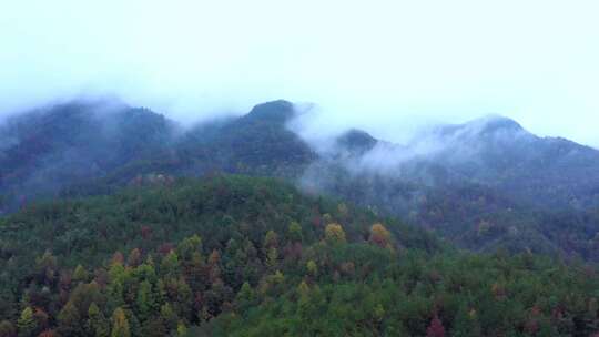 航拍山林云雾缭绕全景
