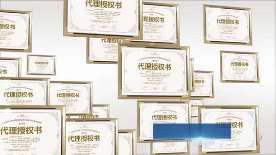 证书奖项奖牌文件荣誉商务专利AE模板