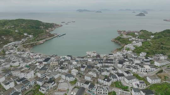 航拍东海舟山群岛屿花鸟大海边