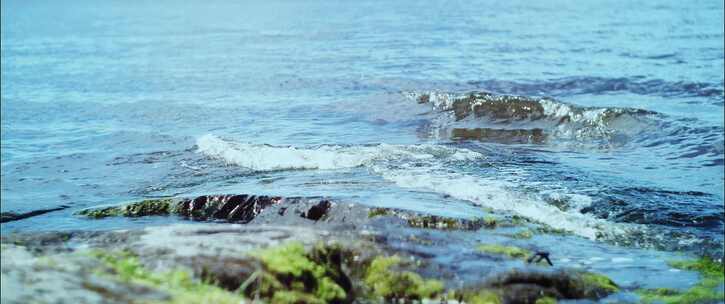 海岸，海浪，海洋，海岸