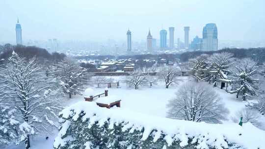 雪后城市景观，近处雪景远处高楼相映成趣