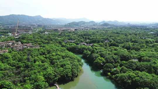 浙江杭州西湖区西溪湿地自然森林湖泊6