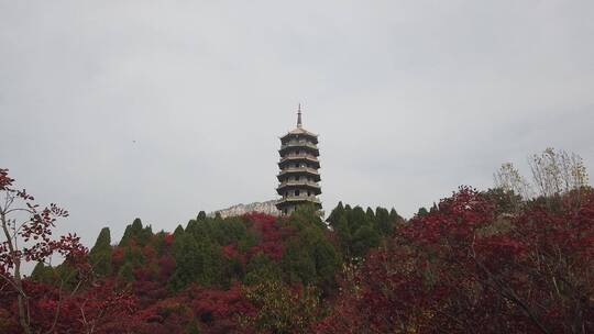 济南红叶谷景区，秋季满山红叶景观