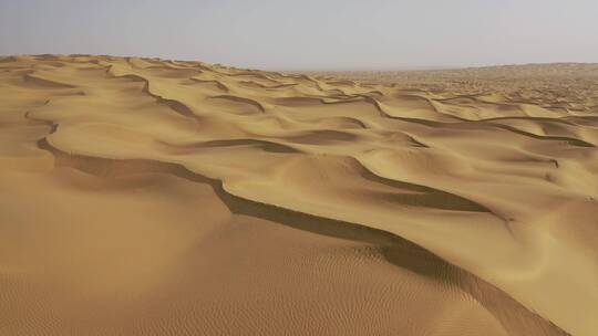 新疆塔克拉玛干沙漠一个人在行走