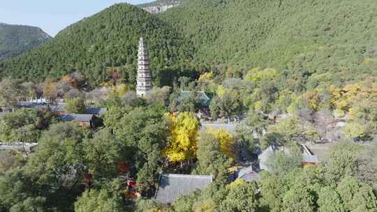 秋天的灵岩寺