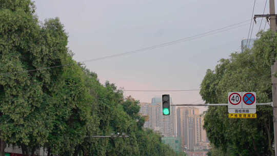 道路中央红绿灯