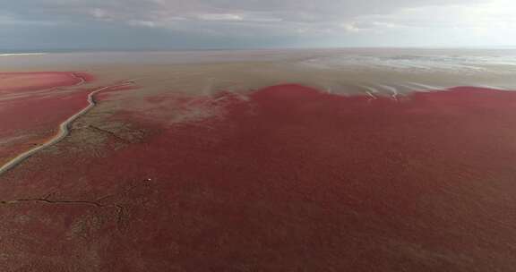 辽宁盘锦红海滩航拍