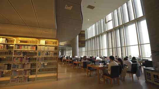 图书馆学习看书 书的海洋 阅读