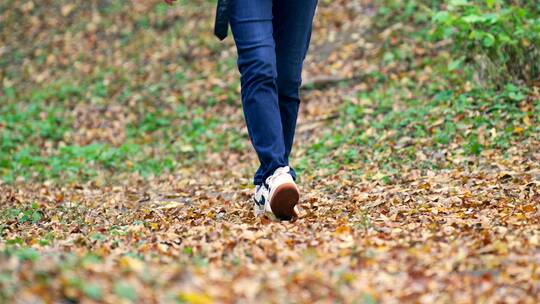 实拍走在秋天落满树叶树林里的女性脚部特写