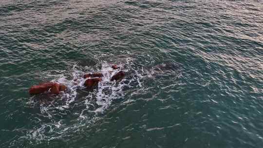 海洋大海海浪礁石