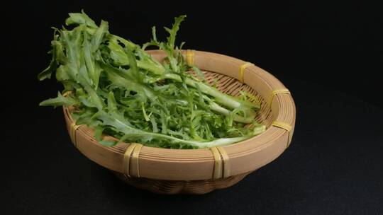 苦菊菜蔬菜食物食材