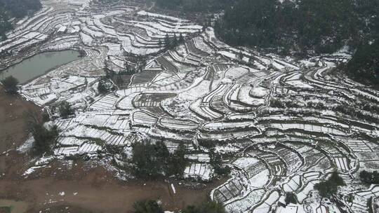 航拍 农田 农业 种植 冬天 雪景